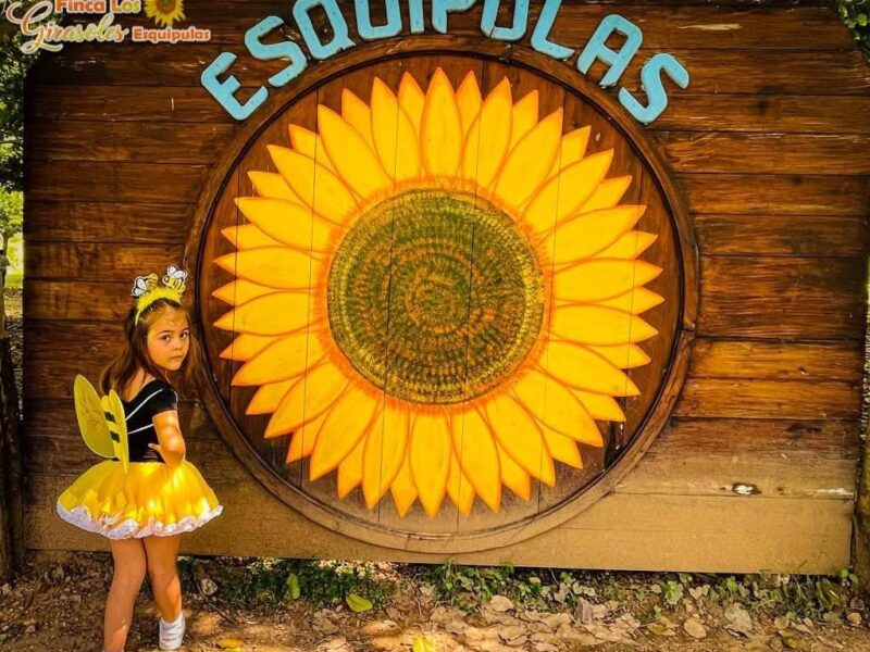 Tras tu Encuentro de Fe, Conecta con la Creación