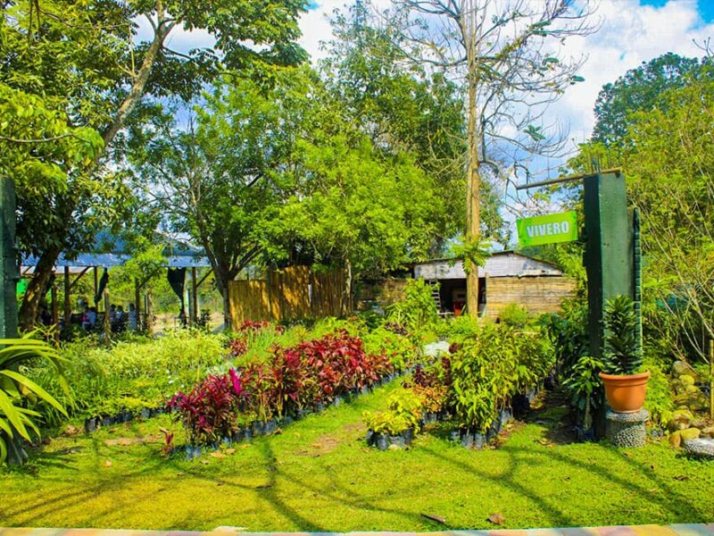 Tu Peregrinación Merece una Recompensa Familiar