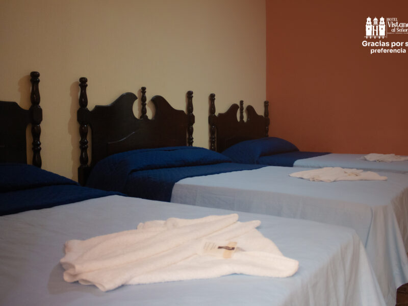 Hotel Vistana al Señor