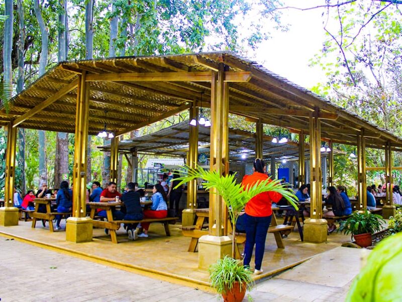 Tu Peregrinación Merece una Recompensa Familiar